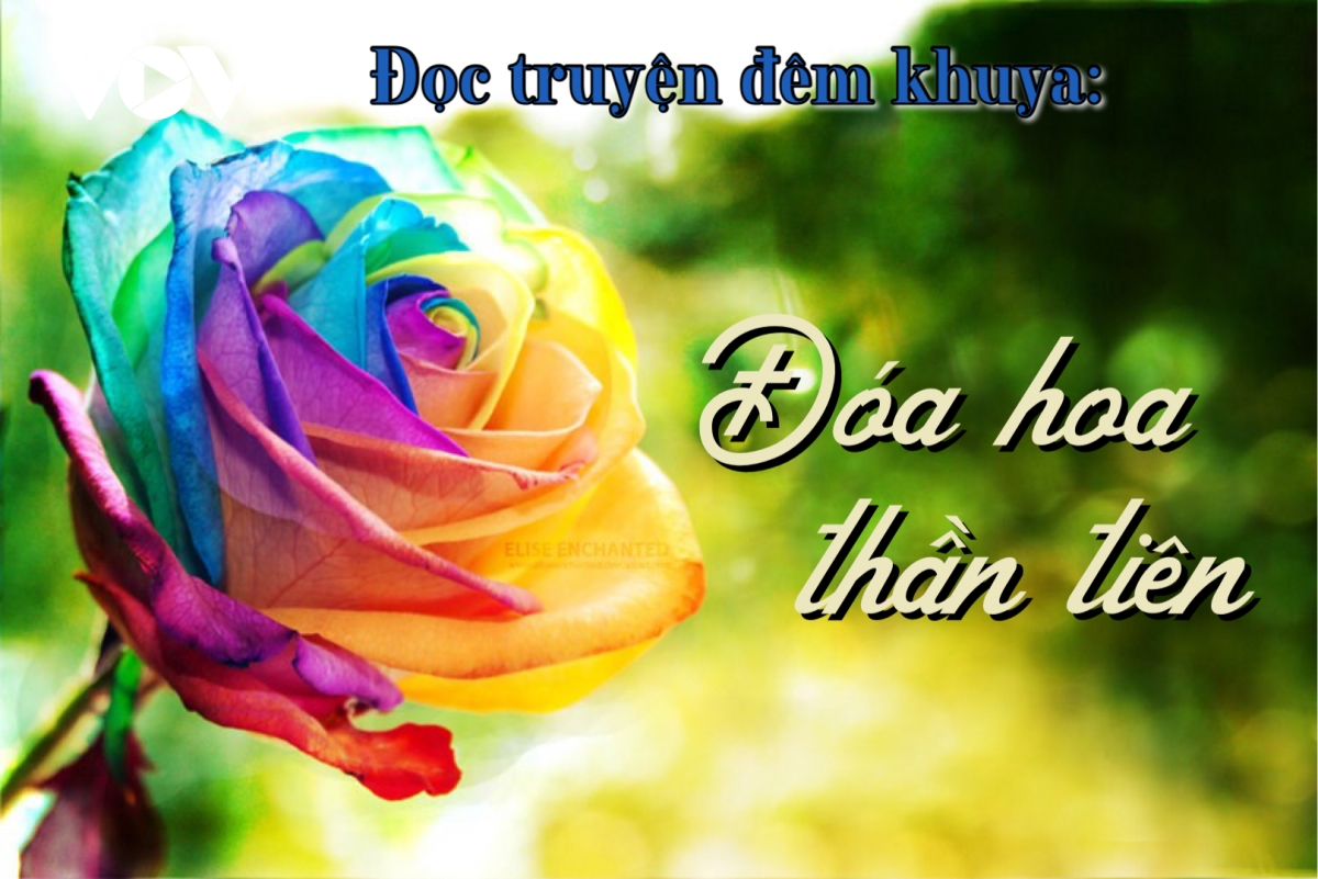 Bảy điều ước trong truyện "Đoá hoa thần tiên"